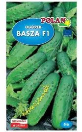 ogorek-gruntowy-basza-f1-wczesny-nasiona-5g-polan