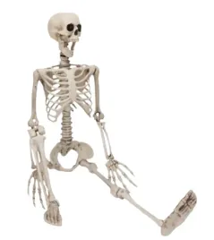 dekoracja-wiszaca-szkieletor-duzy-halloween-165-cm