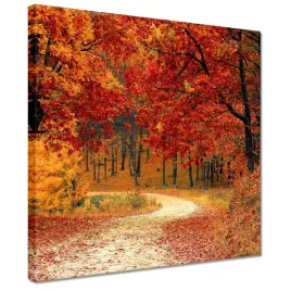 obrazy-30x30-pejzaz-krajobraz