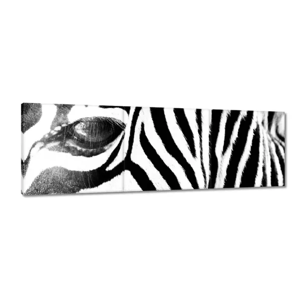 obrazy-90x30-zebra-paski