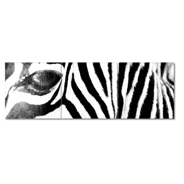 obrazy-90x30-zebra-paski-stan-nowy