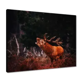 obrazy-50x40-jelen-na-rykowisku-las