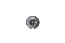 zarowka-reflektor-bosch-d2s-35-w-1-987-302-904