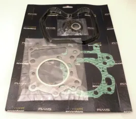 uszczelki-aprilia-leonardo-end-rms-rms100689200