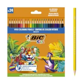 kredki-bic-kids-smooth-eco-drewniane-24-rozne-kolory-pudelko