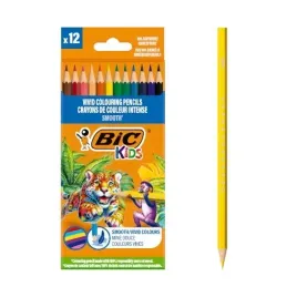kredki-bic-kids-smooth-eco-drewniane-12-roznych-kolorow-pudelko