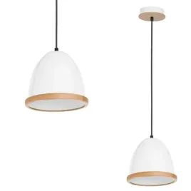 lampa-wiszaca-eko-light-studio-1-punkty-swiatla-e27