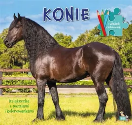 ksiazeczka-z-puzzlami-i-kolorowankami-konie