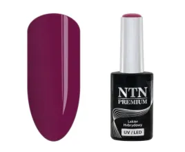 lakier-hybrydowy-ntn-premium-romantica-collection-hema-di-hema-free-5g-nr-104