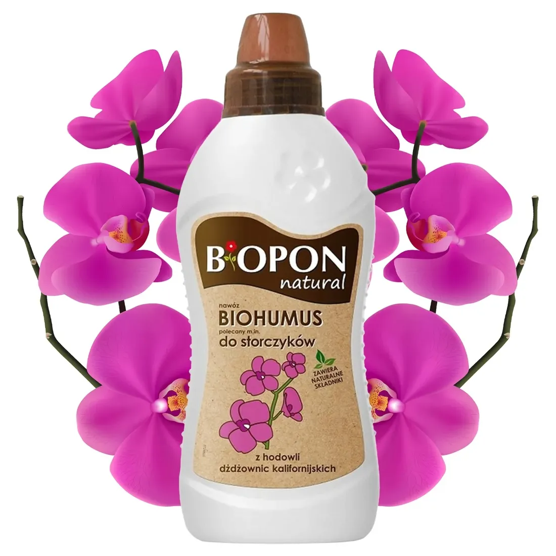 Grafika w opisie produktu