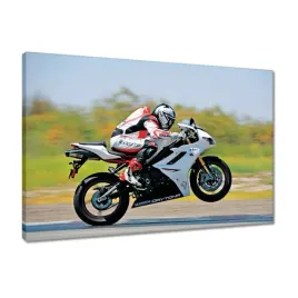 obrazy-60x40-scigacz-motocykl-motor