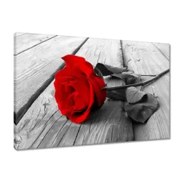 obrazy-60x40-czerwona-roza-na-drewnie