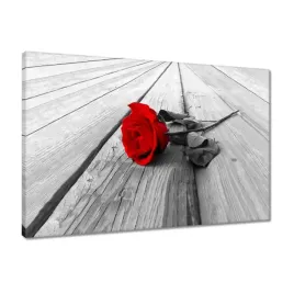 obrazy-60x40-czerwona-roza-na-drewnie