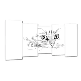 obrazy-150x80-kot-kotek-kotki-koty