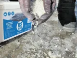 ice-melter-5-kg-srodek-do-usuwania-lodu-i-sniegu-na-chodniki-schody-podjazdy-tarasy-bezpieczny-dla-betonu-asfaltu-drewna-i-kostki-brukowej-waga-z-opakowaniem-5-kg