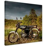 obrazy-40x40-czarny-simson-czworka-4