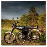 obrazy-40x40-czarny-simson-czworka-4-stan-nowy