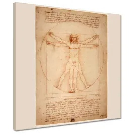 obrazy-40x40-czlowiek-witruwianski-da-vinci