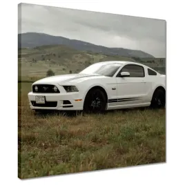 obrazy-40x40-bialy-ford-mustang