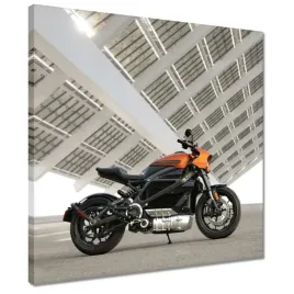 obrazy-40x40-harley-davidson-motocykl