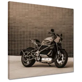 obrazy-40x40-harley-davidson-motocykl