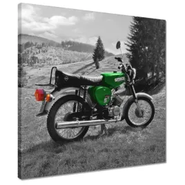 obrazy-40x40-zielony-simson-s51-e