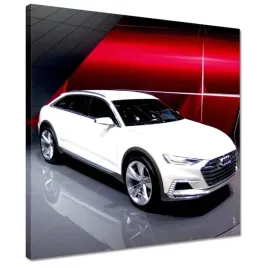 obrazy-40x40-audi