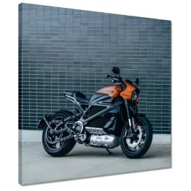 obrazy-40x40-harley-davidson-motocykl