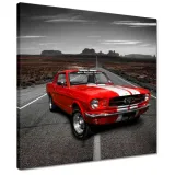 obrazy-40x40-ford-mustang