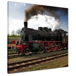 obrazy-40x40-ciuchcia-wolsztyn-tr5-65
