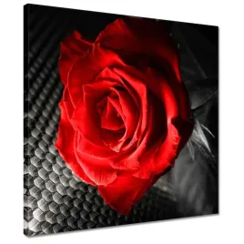 obrazy-40x40-czerwien-wsrod-szarosci