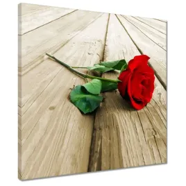 obrazy-40x40-czerwona-roza-na-deskach