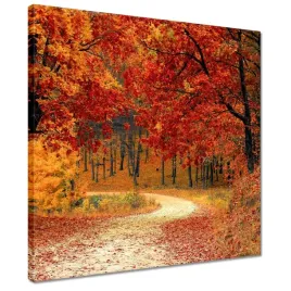 obrazy-40x40-pejzaz-krajobraz