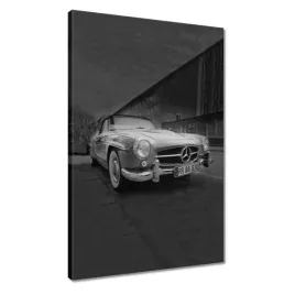 obrazy-40x60-mercedes-skrzydlak-auto