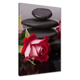 obrazy-40x60-roze-kolo-kamieni