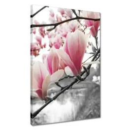 obrazy-40x60-magnolia-kwiatki-kwiaty