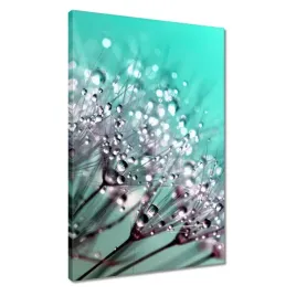obrazy-40x60-krople-rosy-dmuchawiec
