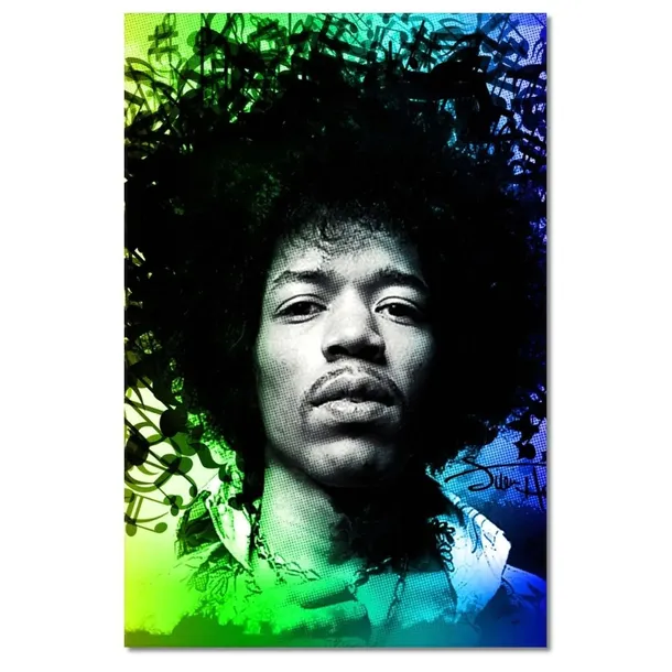 obrazy-40x60-teczowy-hendrix-stan-nowy