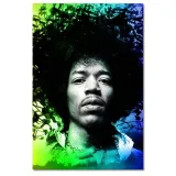 obrazy-40x60-teczowy-hendrix-stan-nowy