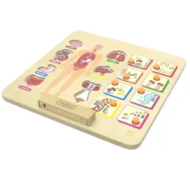 masterkidz-tablica-edukacyjna-uklad-ciala-ludzk