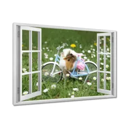 obrazy-90x60-swinka-morska-na-lace
