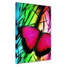 obrazy-40x60-motyl