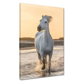 obrazy-40x60-dzikie-konie-wild-horses