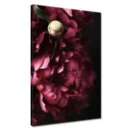obrazy-40x60-piekne-fioletowe-piwonie
