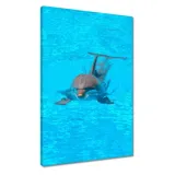 obrazy-40x60-delfin
