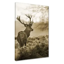 obrazy-40x60-jelen-las-zachod-slonca