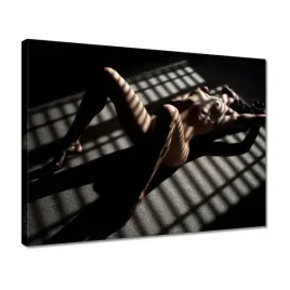 obrazy-40x30-naga-kobieta-w-cieniu