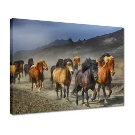 obrazy-40x30-kon-konie-jezdziectwo