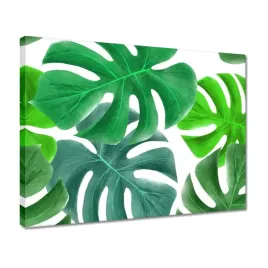 obrazy-40x30-liscie-monstery-tropiki