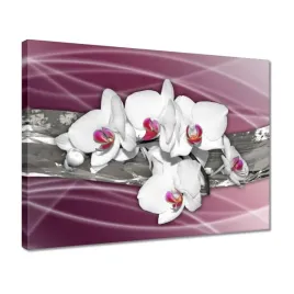 obrazy-40x30-biale-storczyki-na-rozowym-tle
